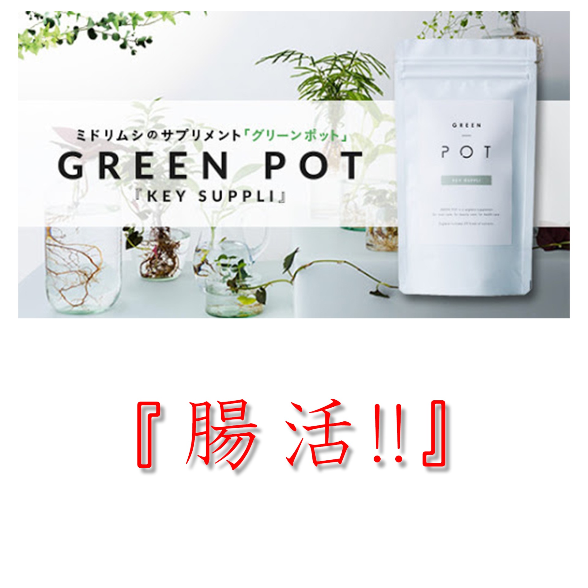 GREEN POT FAMILY グリーンポットプラスキーサプリ 270粒 イソフラボン
